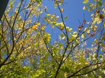 2013たんば4.JPG