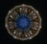 }[uf1.jpg