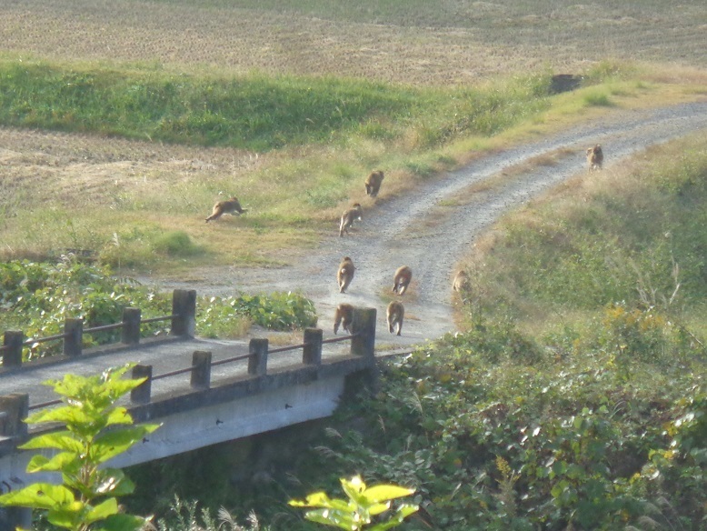 DSC00100.JPG
