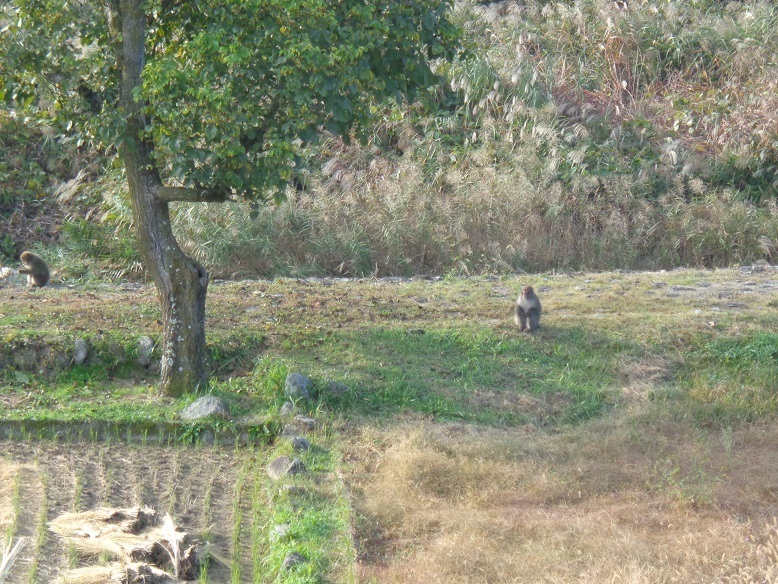 DSC00102.JPG
