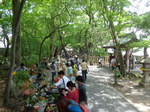 DSC00285.JPG