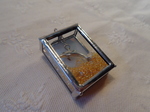 DSC00334.JPG