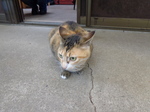 DSC00343.JPG