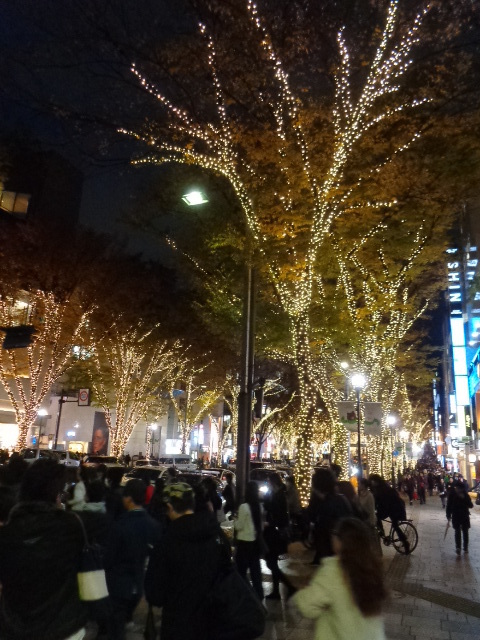 DSC01466.JPG
