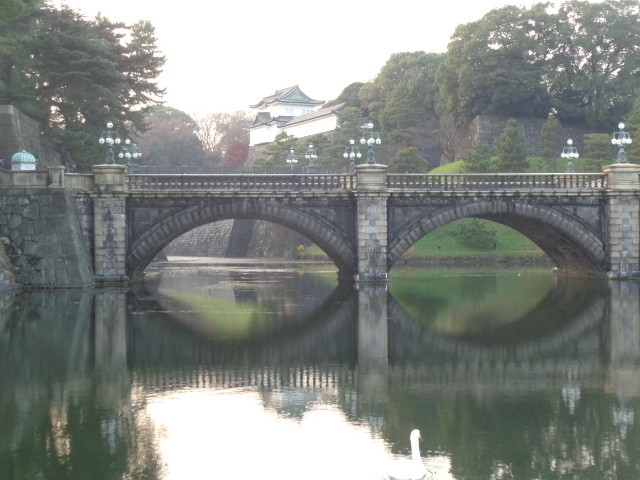 DSC01490.JPG