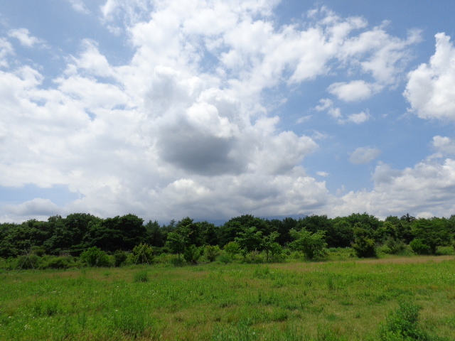 富士山.JPG