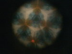 SN3F0661.JPG
